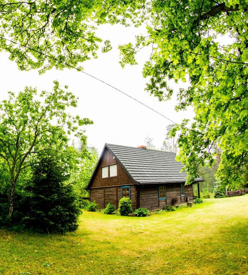Villa Dom Pod Klonem Na Kaszubach Kościerzyna Exterior foto